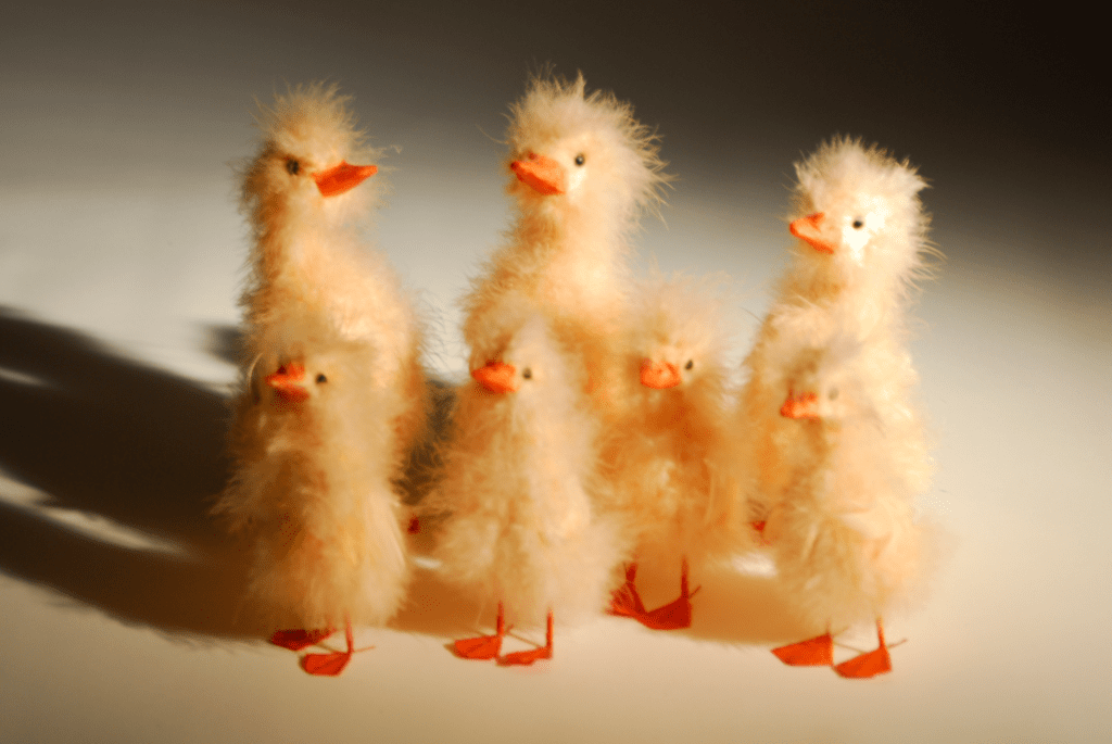 A photograph of seven fuzzy toy chicks standing in two rows—four in the front and three taller characters in the back.